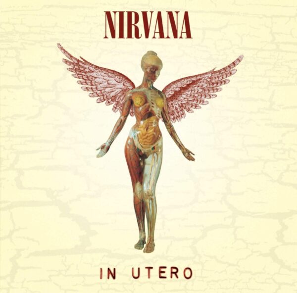 Nirvana Vinili - In Utero Album