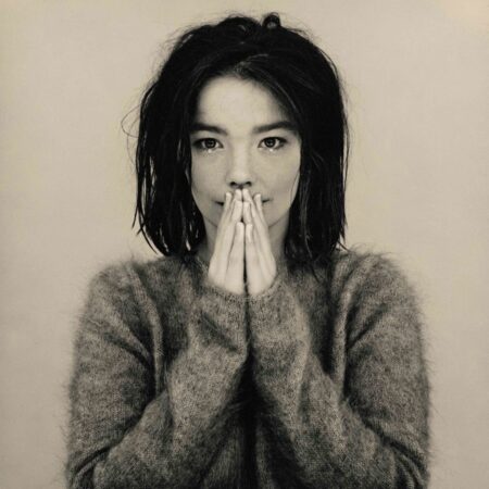 vinile bjork debut