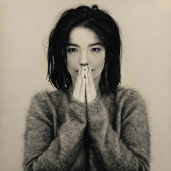 CHRBGDEFD6DNA2DISHDFVZCLNY vinile bjork debut