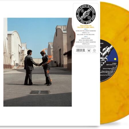 wish-you-were-here-lp-fiammeggiante